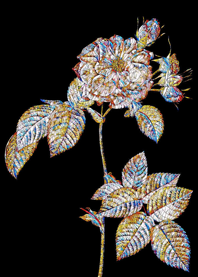 Stained Glass Rose Flower