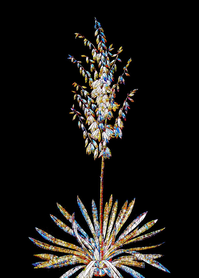 Stained Glass Botanical
