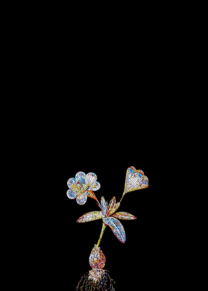 Stained Glass Tulip Flower