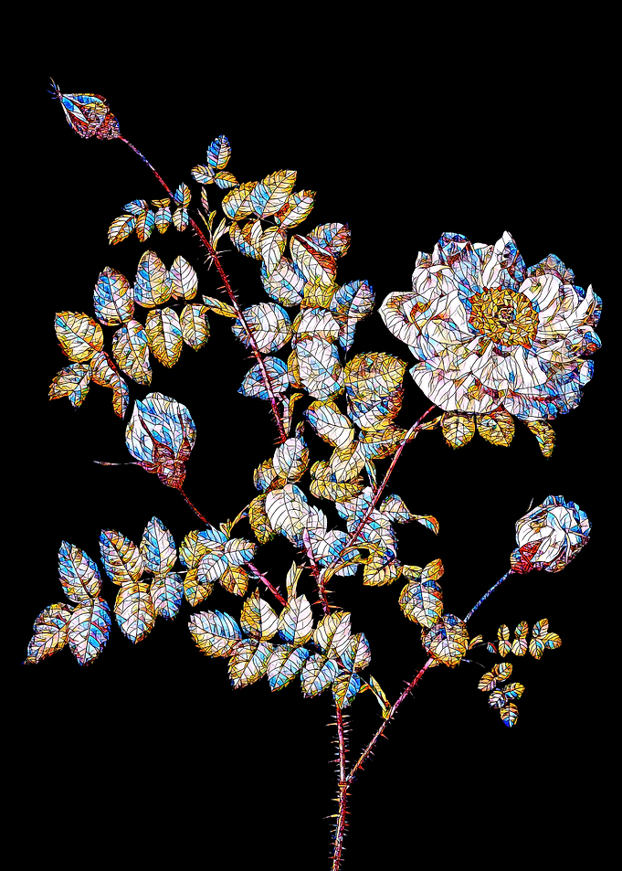 Prismatic Rose Mosaic