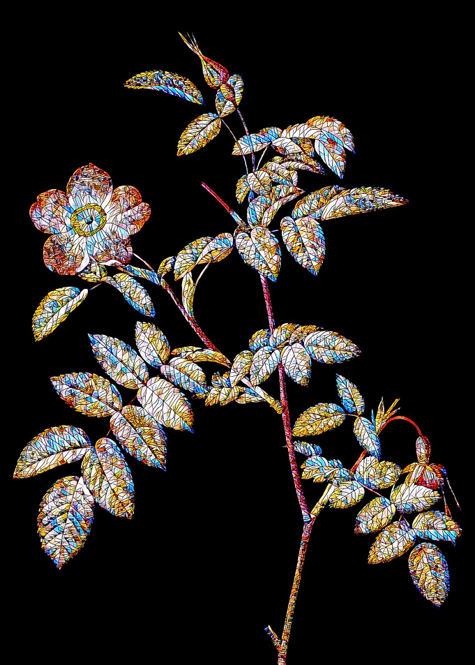 Stained Glass Rose Flower