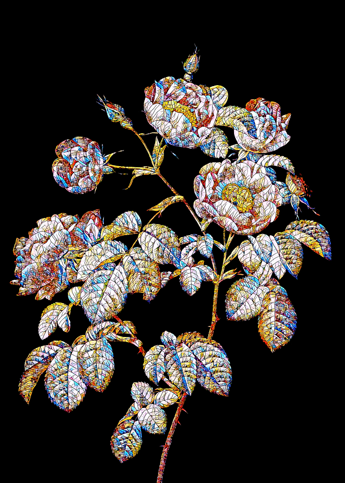Prismatic Rose Mosaic