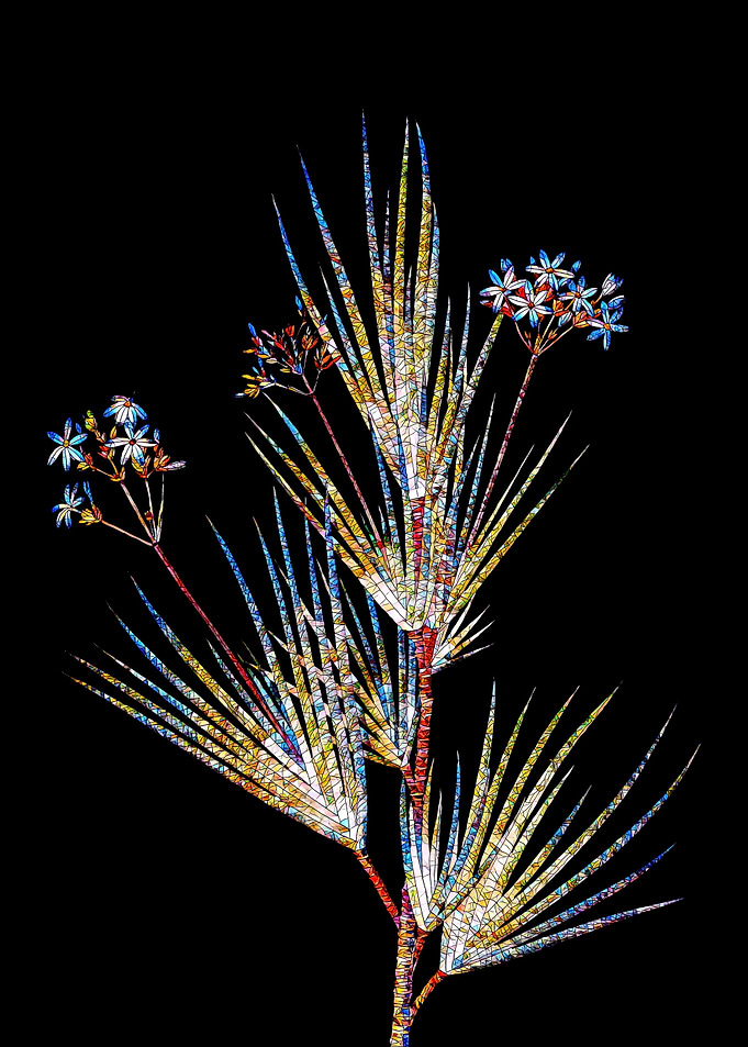 Stained Glass Botanical