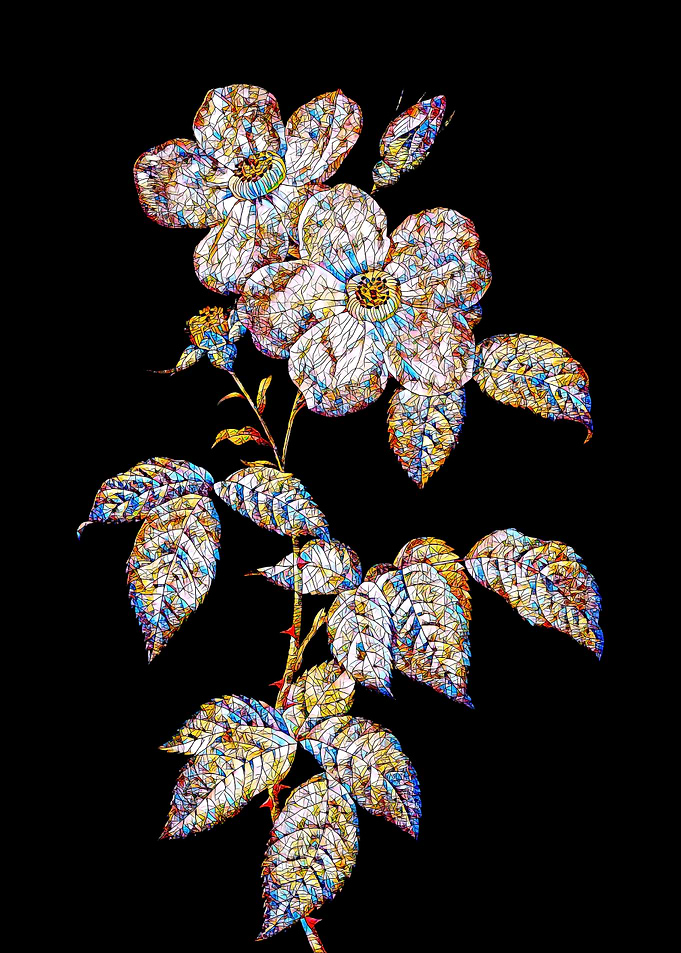 Prismatic Rose Mosaic