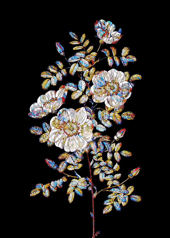 Prismatic Rose Mosaic