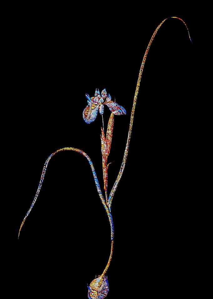 Stained Glass Botanical