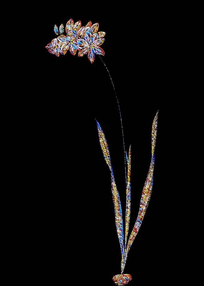 Stained Glass Ixia Flower