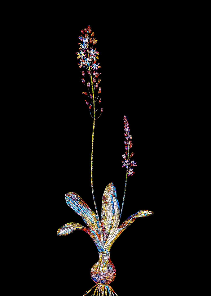 Rainbow Mosaic Flower Art