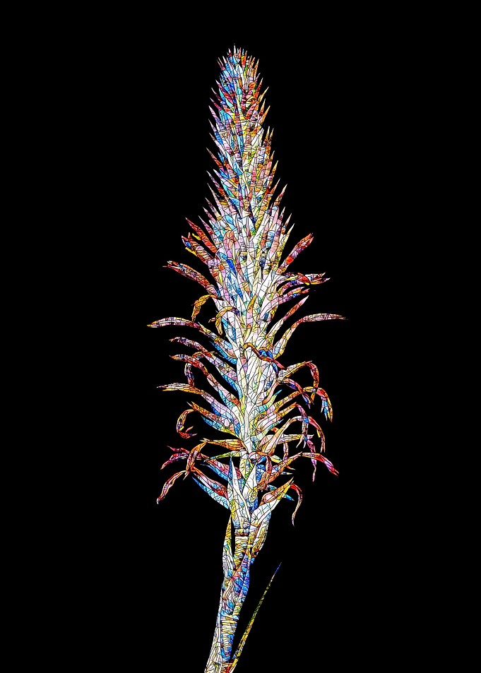 Rainbow Mosaic Flower Art
