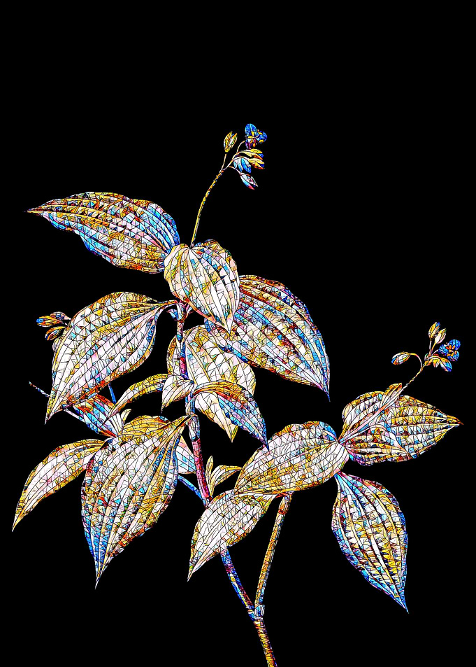 Prismatic Mosaic Botanical