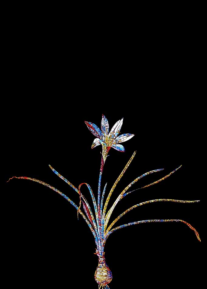 Prismatic Mosaic Lily