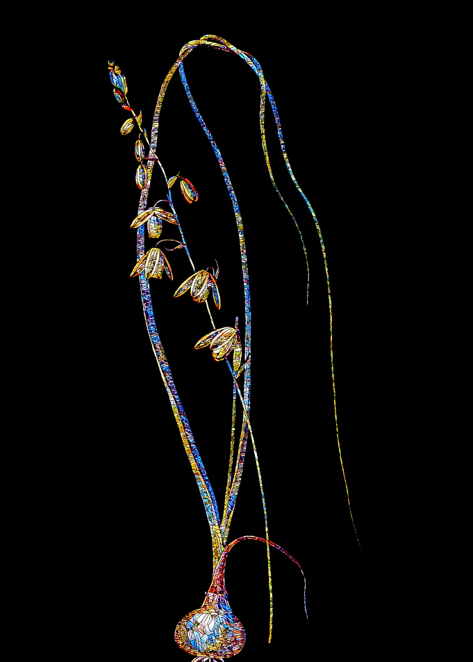 Stained Glass Botanical