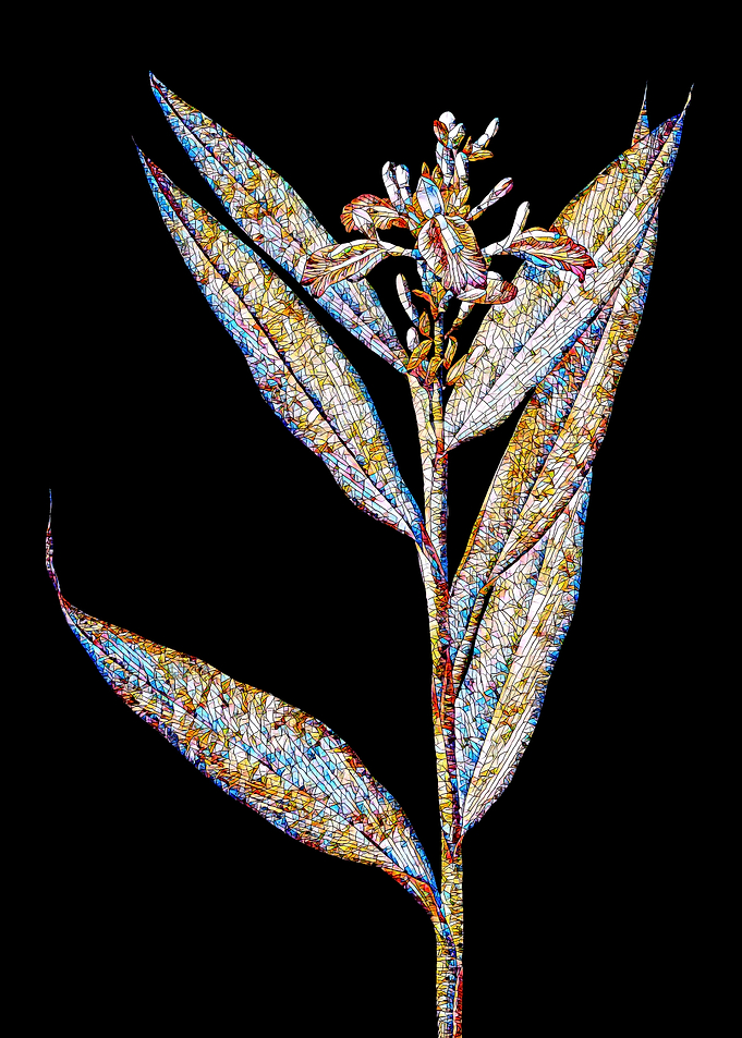 Prismatic Mosaic Botanical