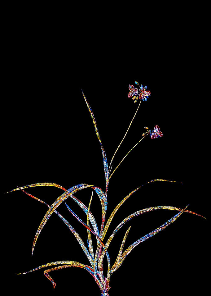 Rainbow Mosaic Flower Art