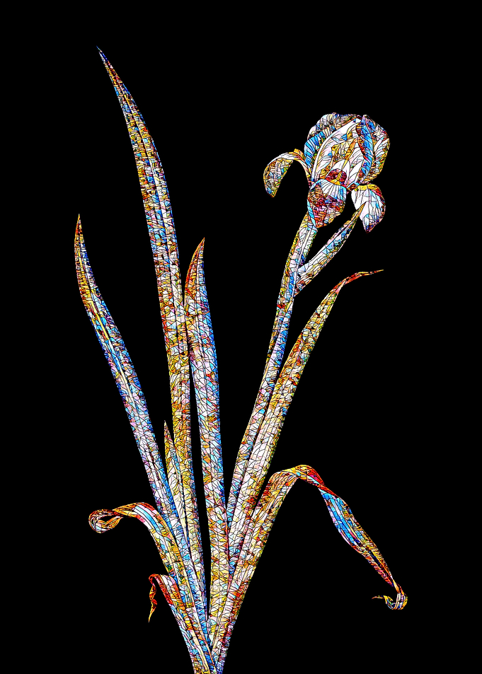 Stained Glass Iris Flower