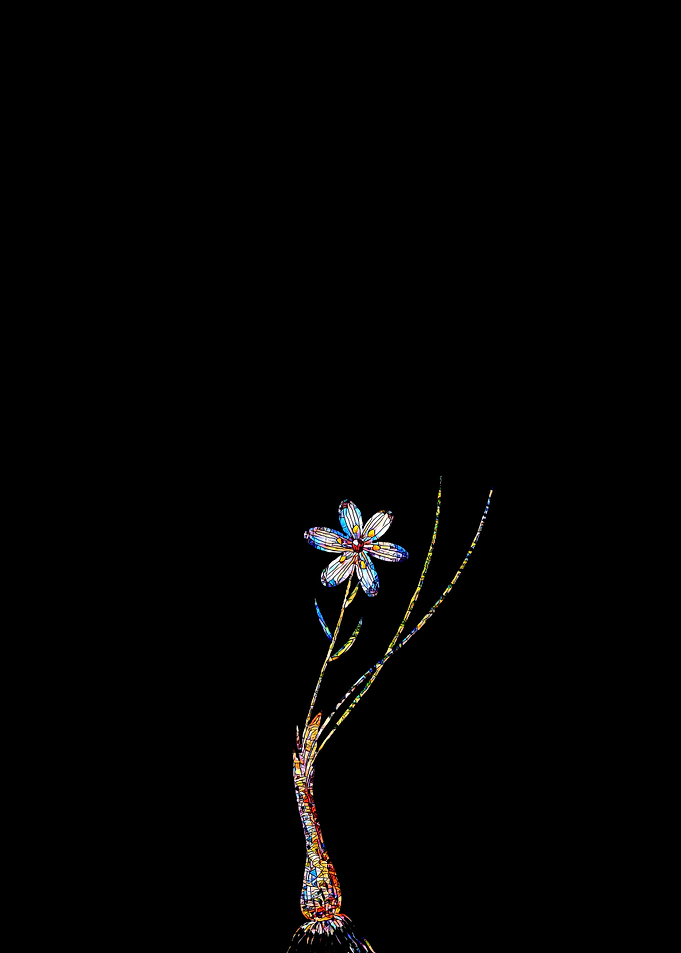 Prismatic Mosaic Lily
