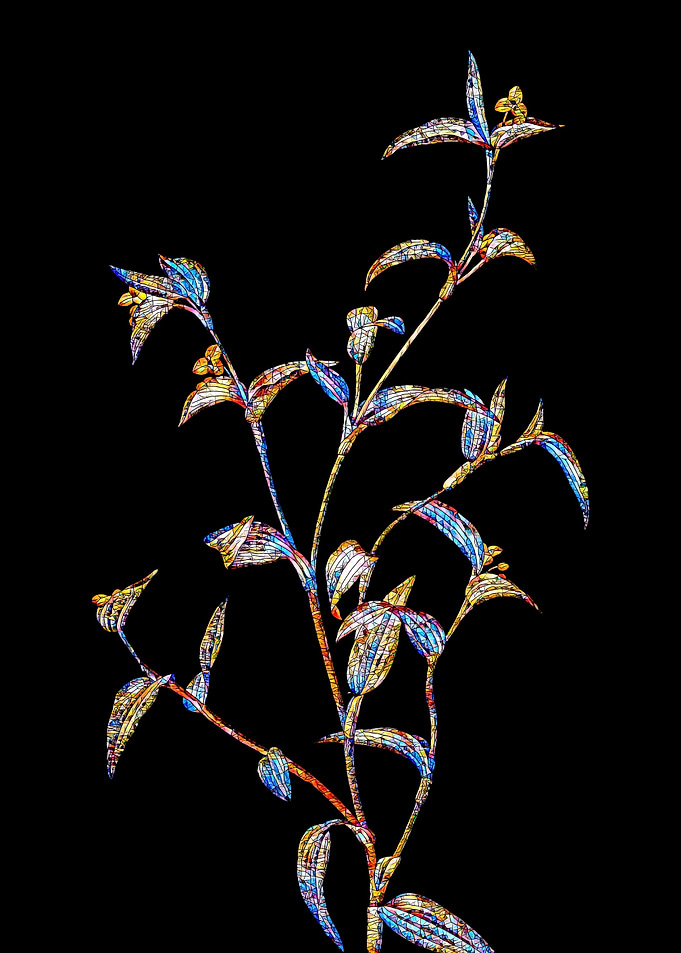 Prismatic Mosaic Botanical
