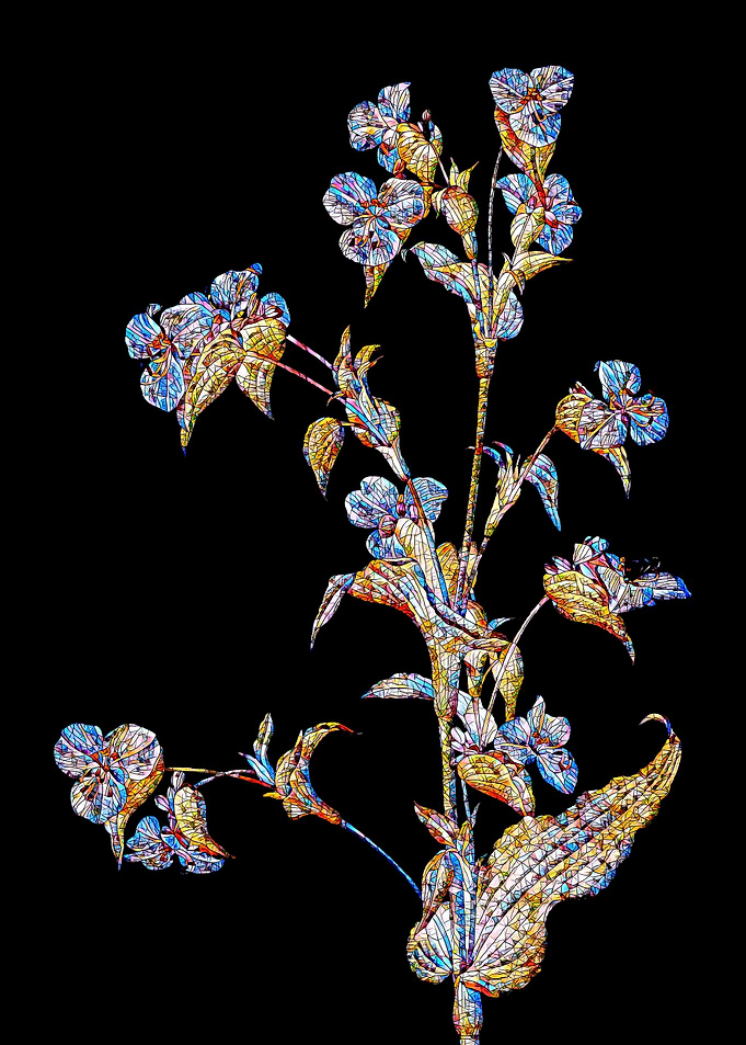 Prismatic Mosaic Botanical