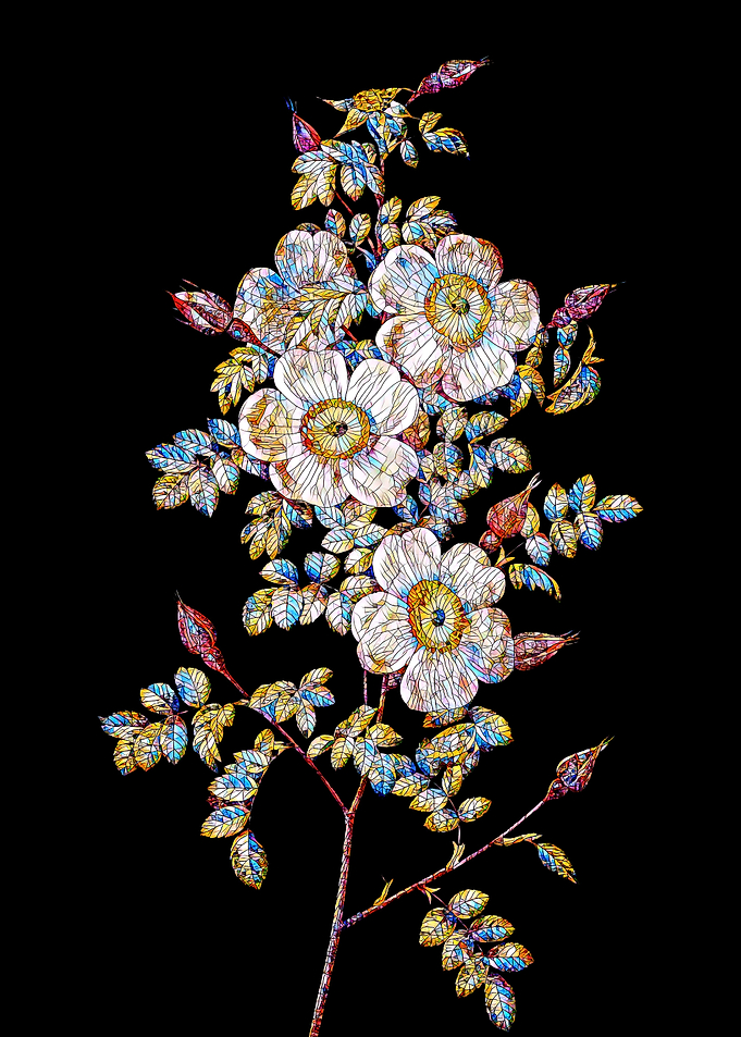Prismatic Rose Mosaic