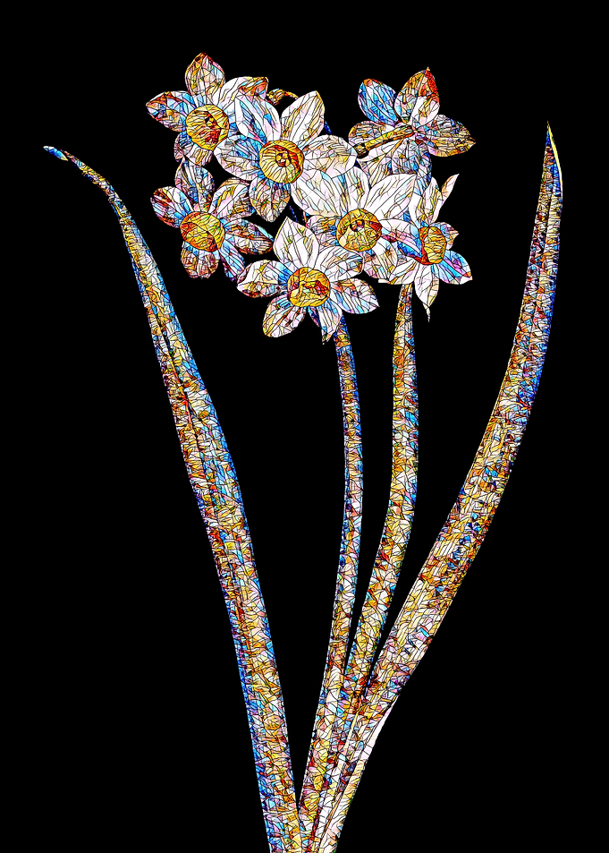 Stained Glass Narcissus