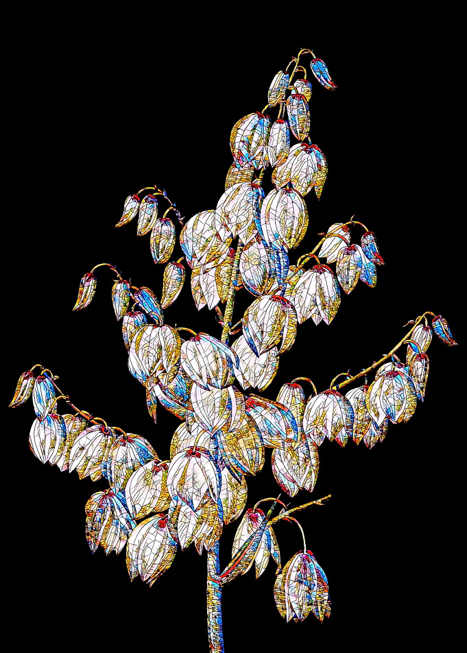 Stained Glass Botanical