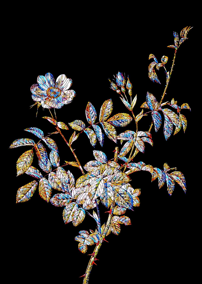 Stained Glass Rose Flower