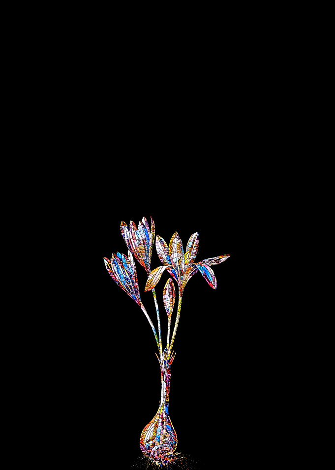 Prismatic Mosaic Crocus