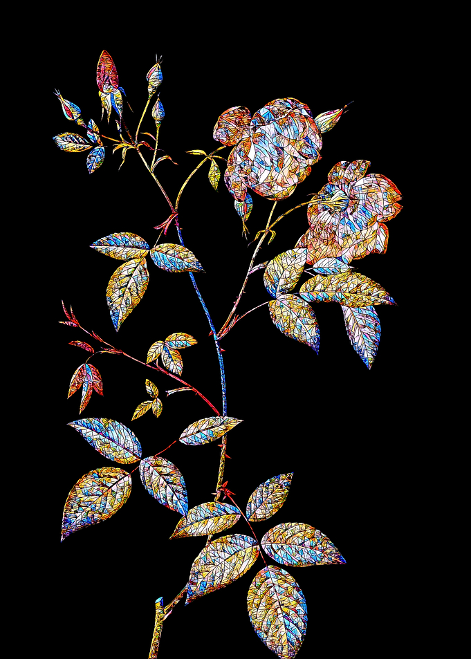 Prismatic Rose Mosaic