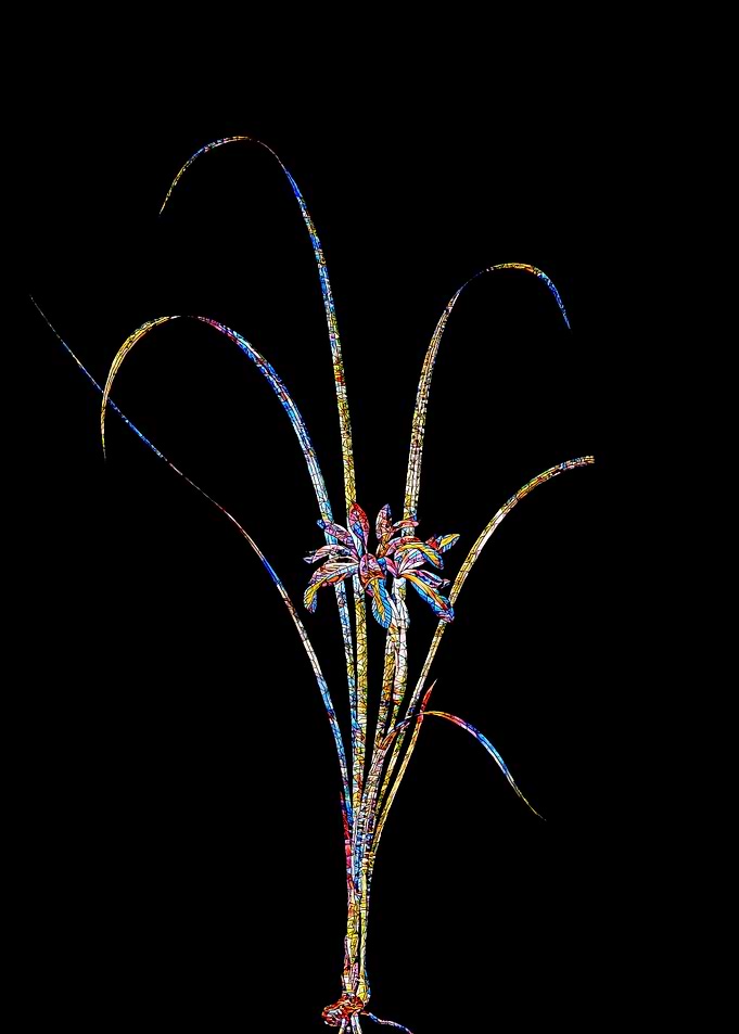 Stained Glass Iris on Noir