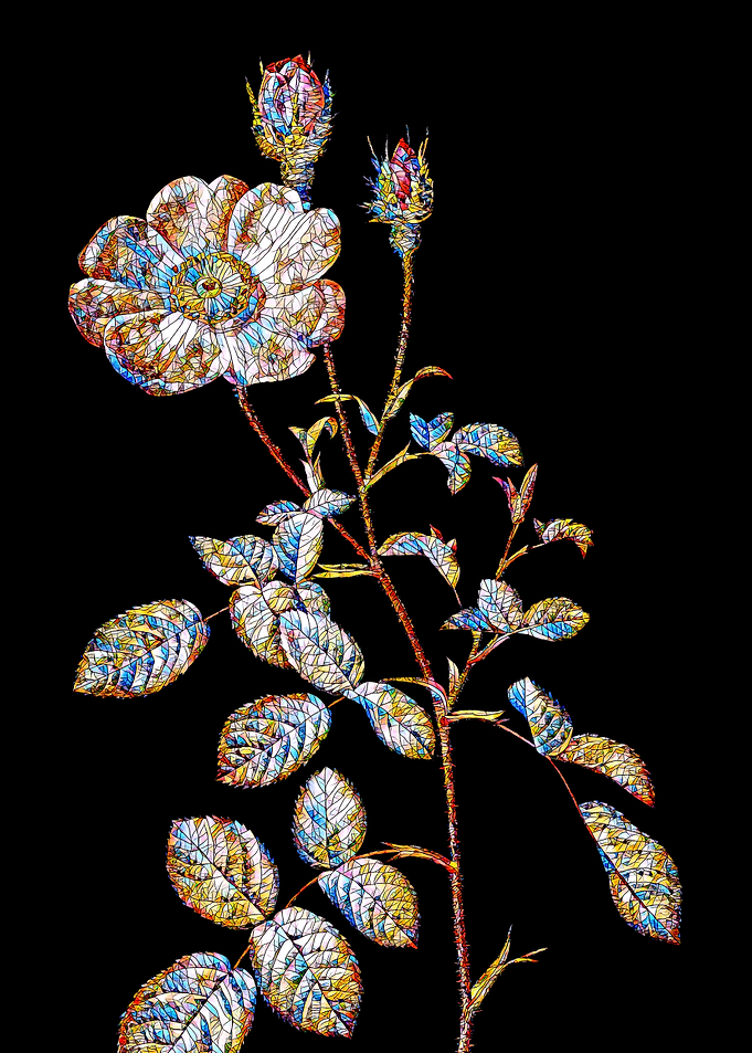 Prismatic Rose Mosaic