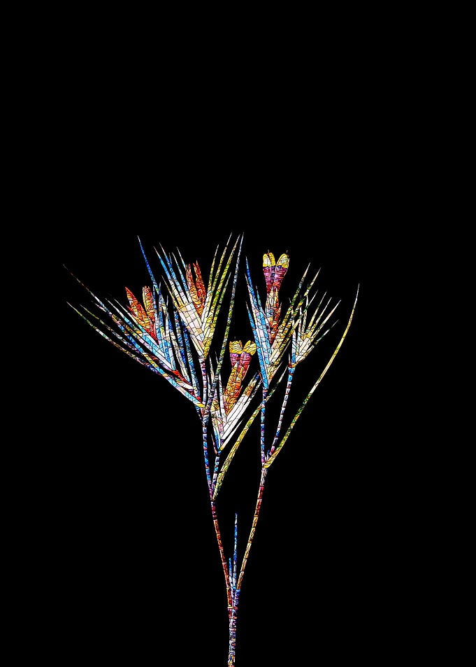 Prismatic Mosaic Botanical