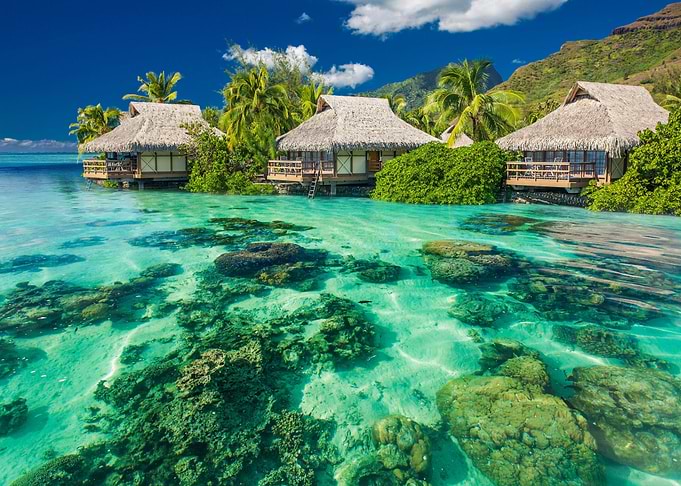 Tropical Paradise