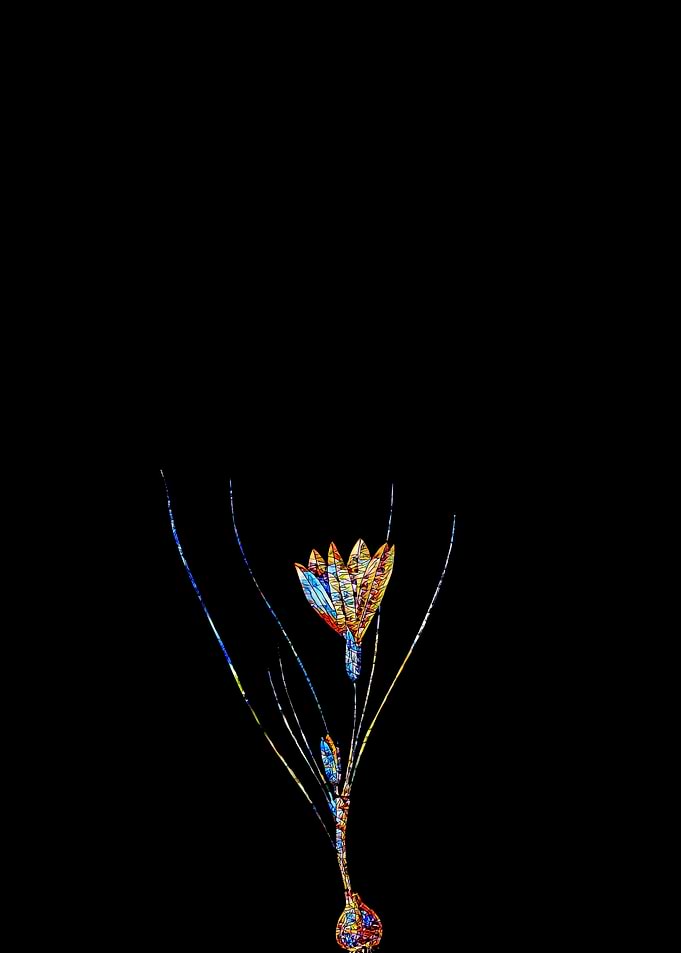 Stained Glass Ixia Flower