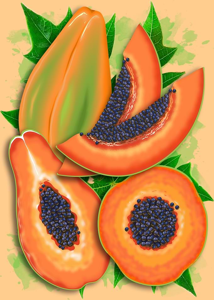 Papaya Party