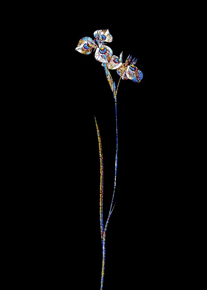 Prismatic Mosaic Botanical