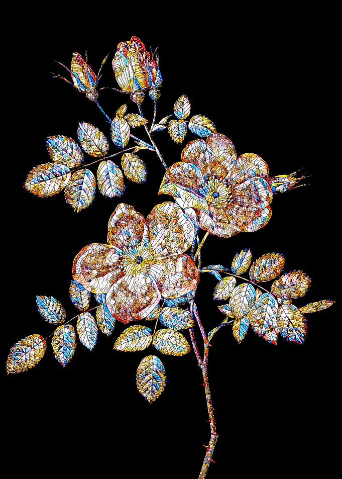 Stained Glass Rose Flower