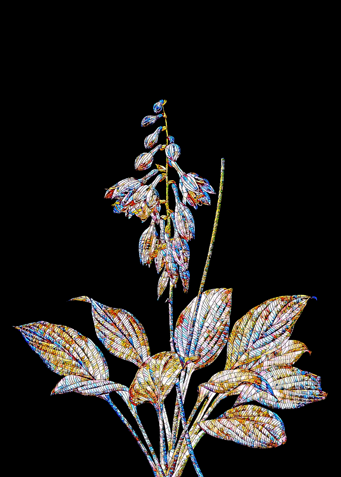 Prismatic Mosaic Botanical