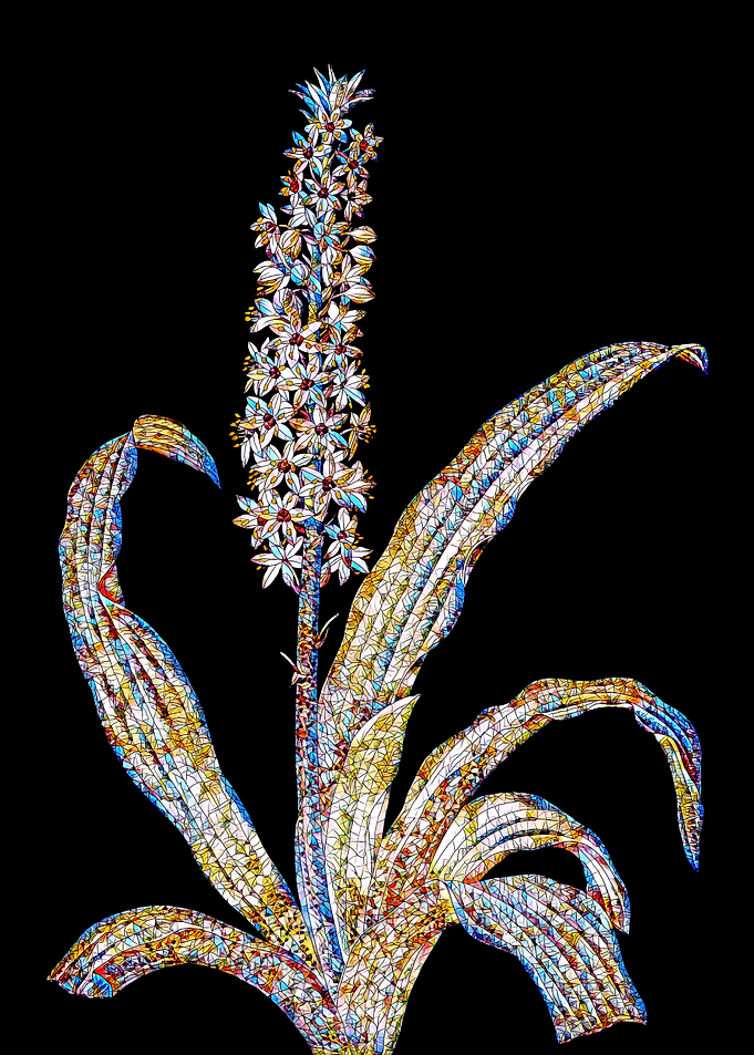 Prismatic Mosaic Botanical
