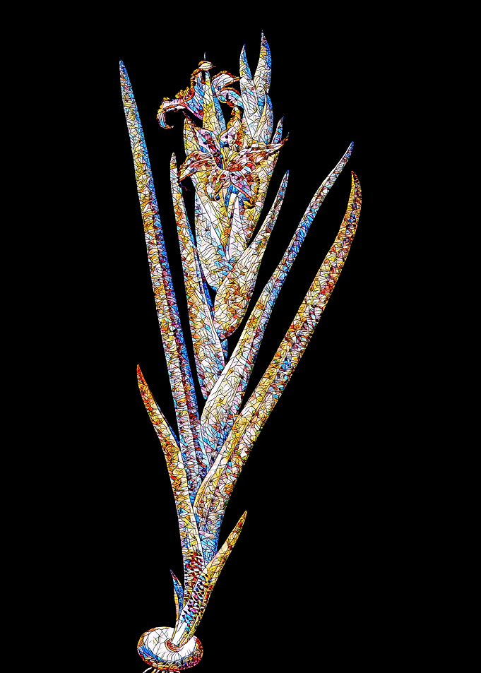 Prismatic Mosaic Botanical