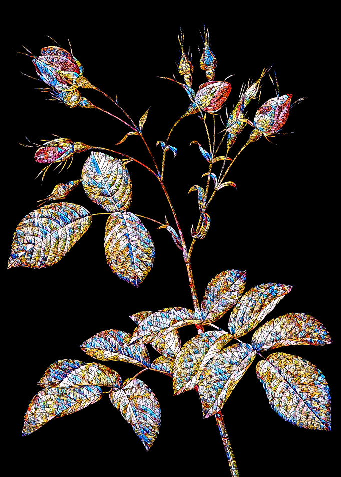 Stained Glass Rose Flower