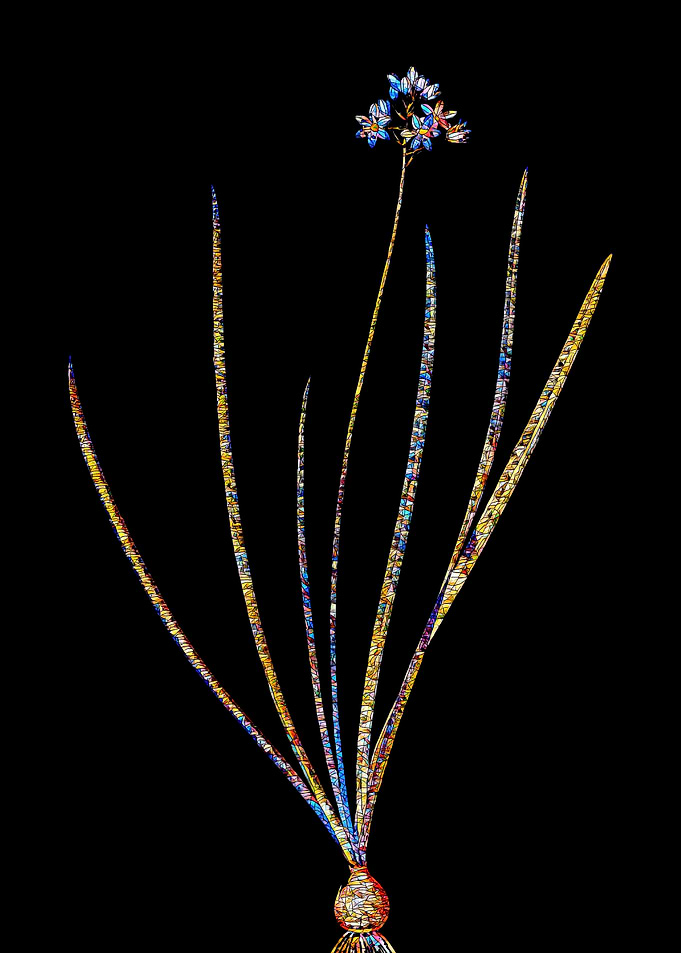 Rainbow Mosaic Flower Art