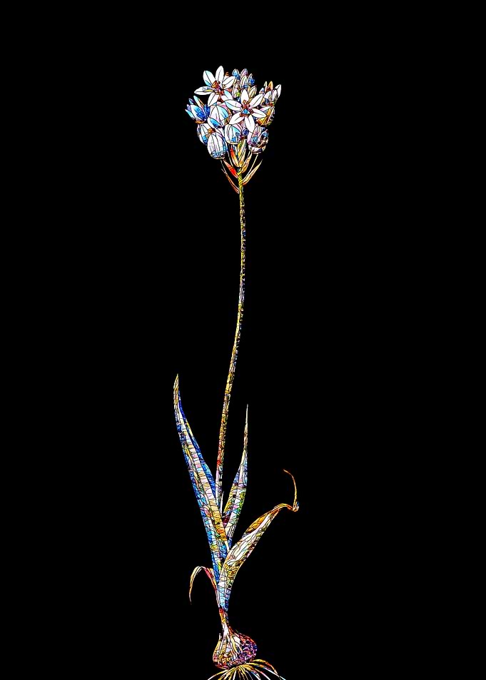 Stained Glass Botanical