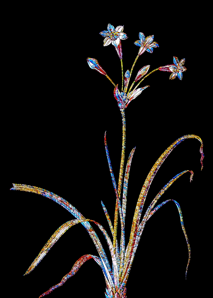 Prismatic Mosaic Botanical