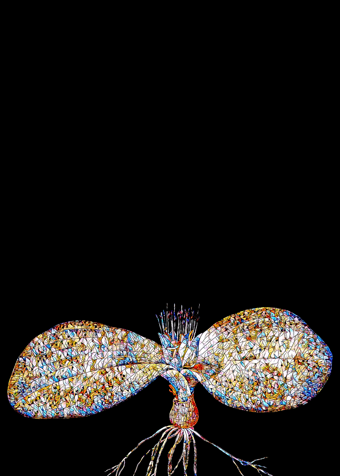 Stained Glass Botanical
