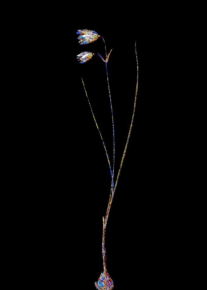 Rainbow Mosaic Flower Art