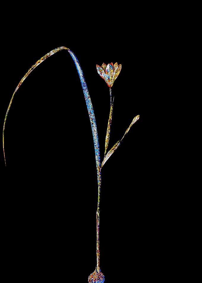 Stained Glass Tulip Flower