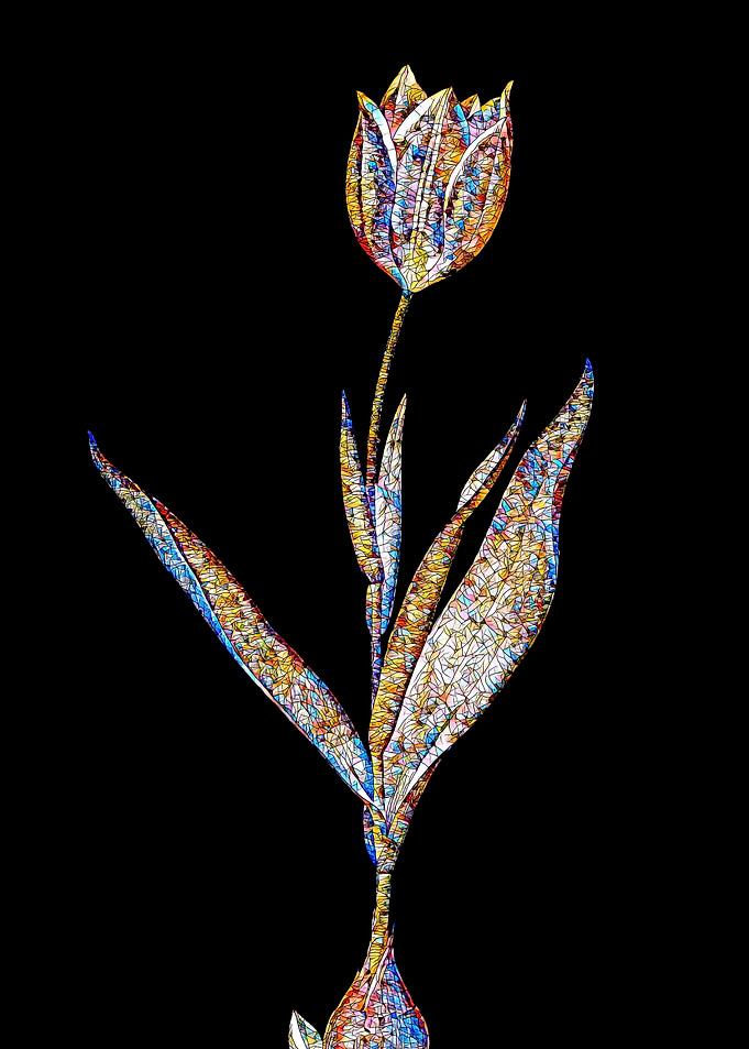 Stained Glass Tulip Flower