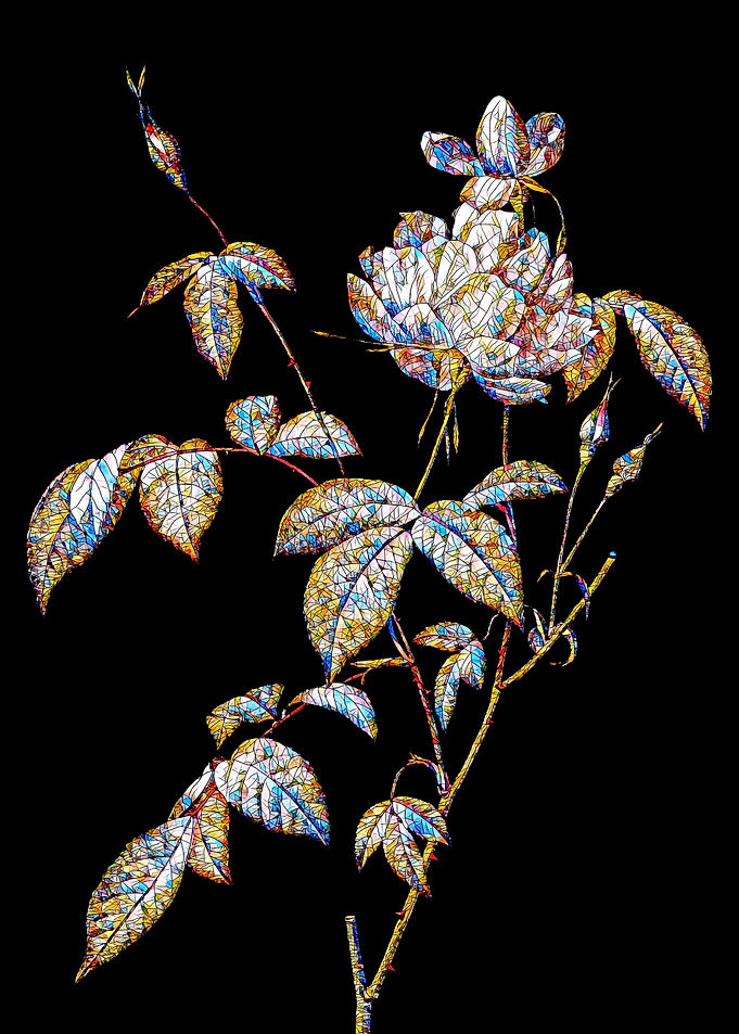 Prismatic Rose Mosaic
