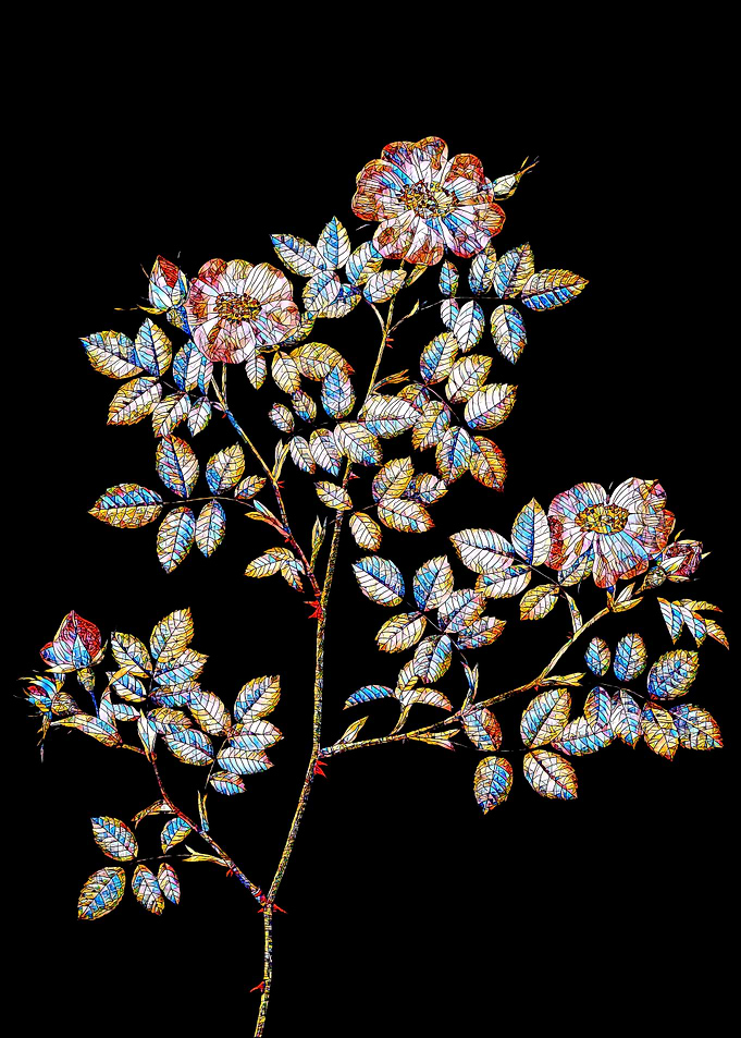Stained Glass Rose Flower