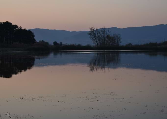 reflection in lake water